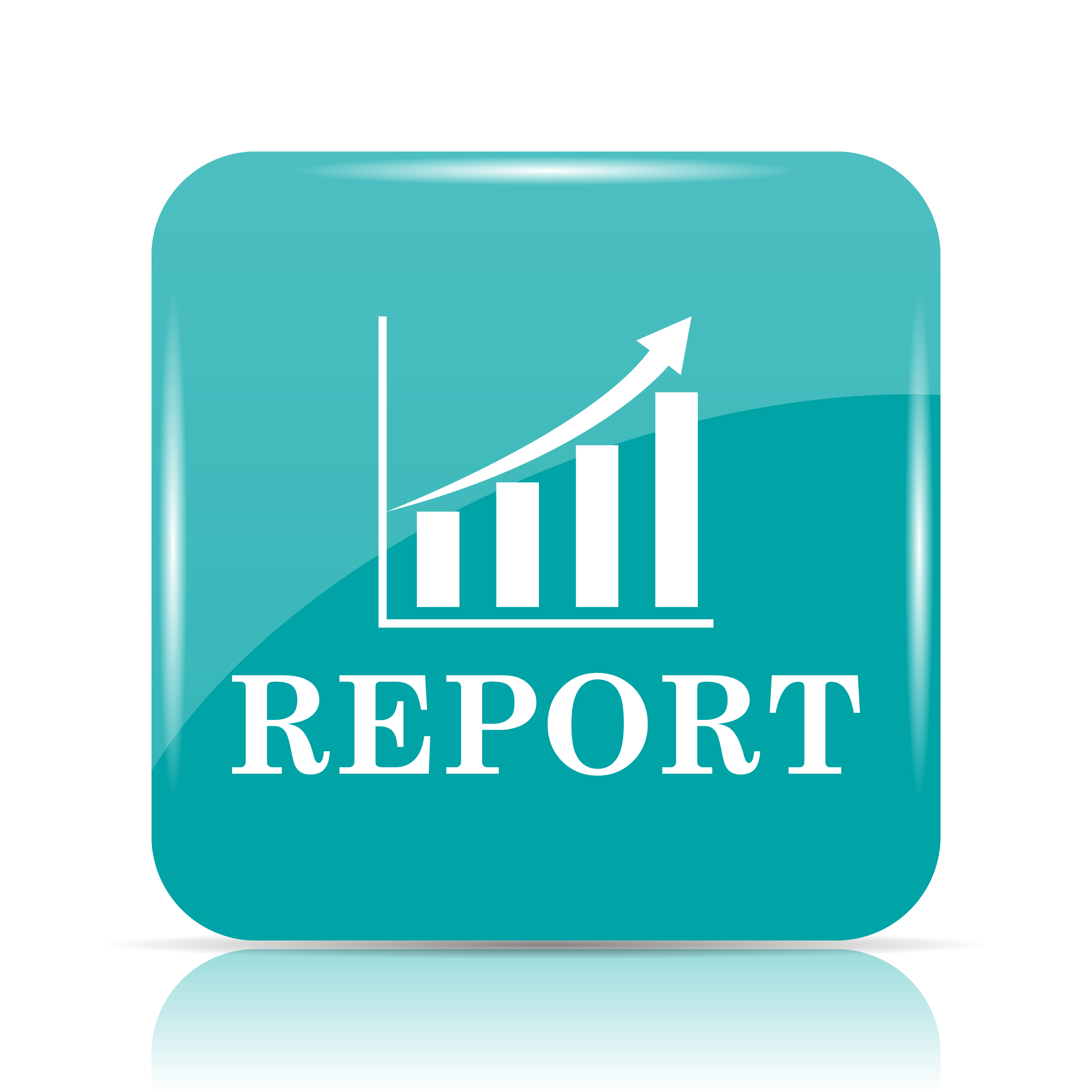 project-report